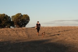 A woman and a brown kelpie are running down a slope in a grassy paddock in early morning light. 