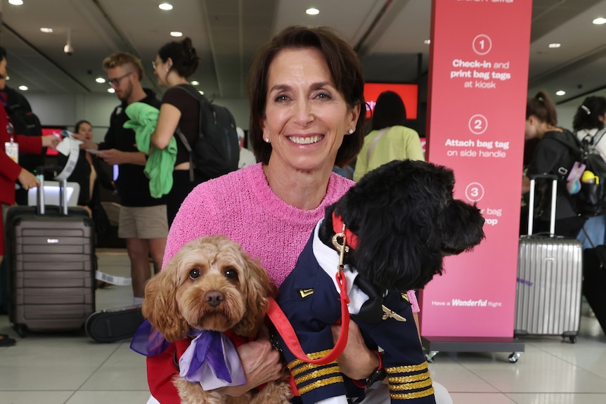 A woman in a pink shirt holding two dogs in pilot uniforms. 