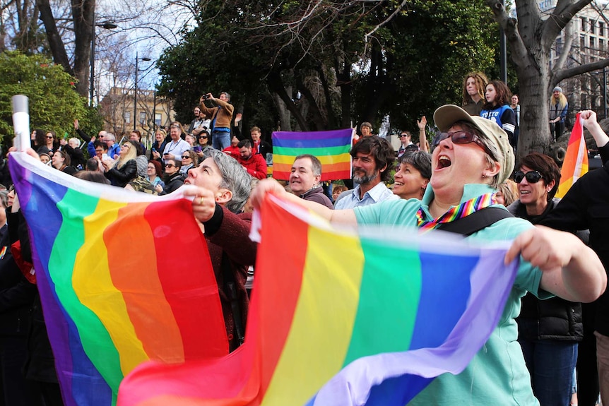 Crowd reacts as rainbow flag is hoisted over Hobart City Council building for first time.