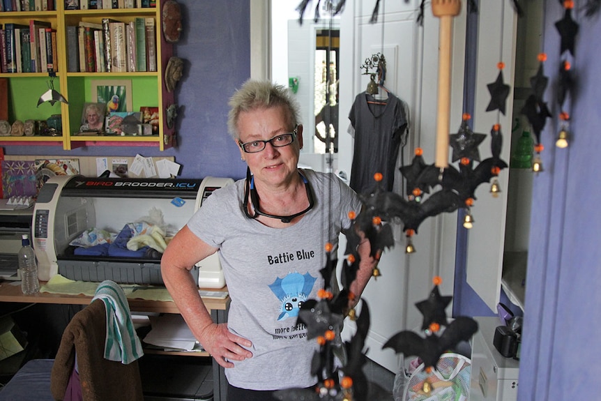 Bat ornaments displayed in Meg's home.