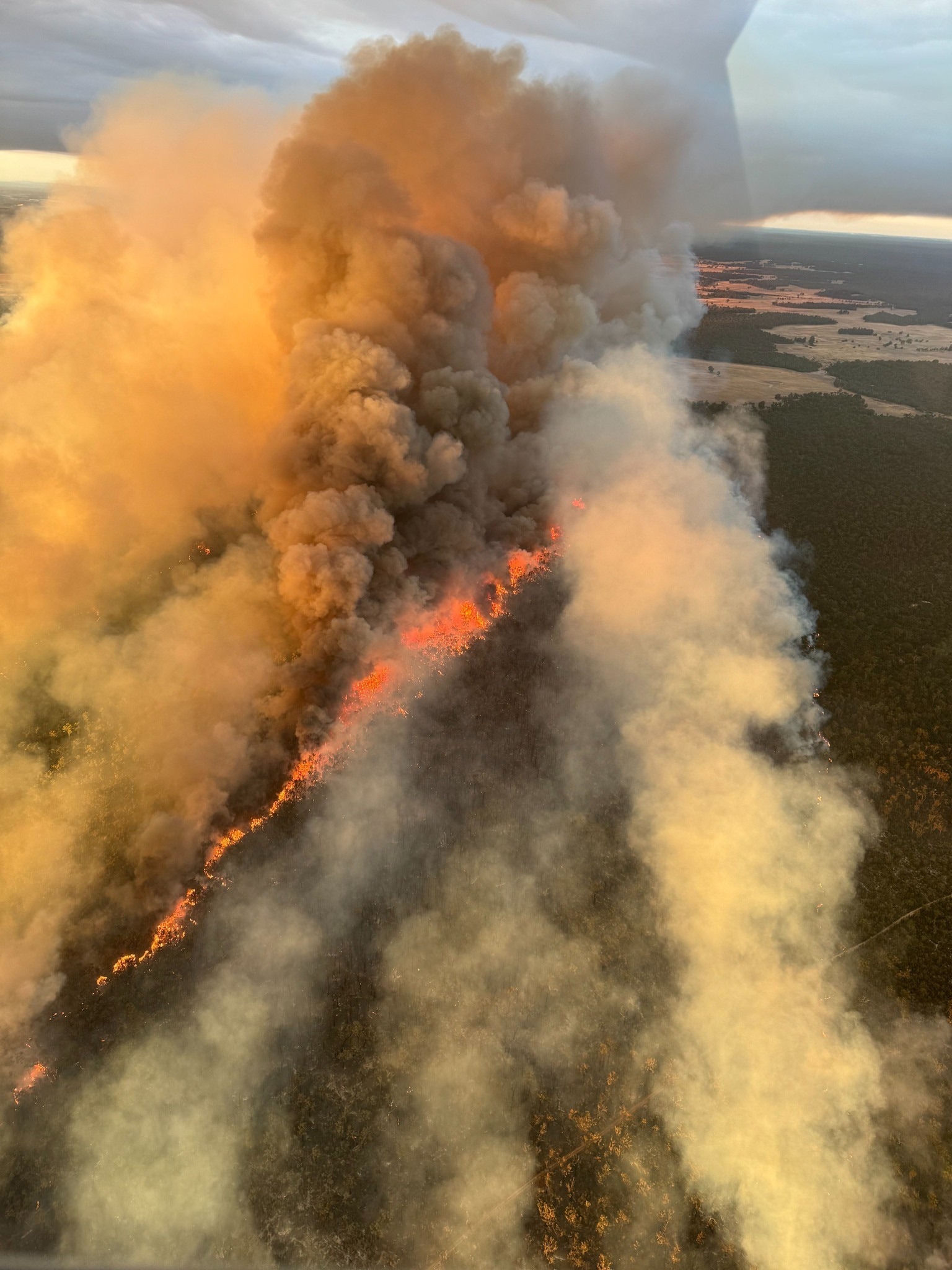 Vista aérea de un incendio forestal en un matorral con nubes de humo y llamas visibles. 