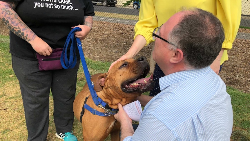 SA Environment Minister Ian Hunter with a dog.