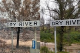 A compositive image of a scene with a sign reading 'Dry River' — one is dry the other is verdant.