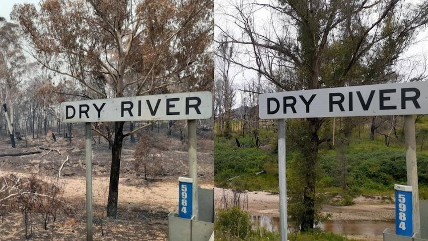 A compositive image of a scene with a sign reading 'Dry River' — one is dry the other is verdant.