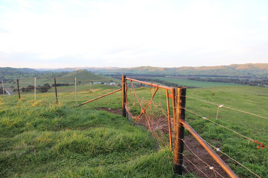 Gundagai Farming Landscape