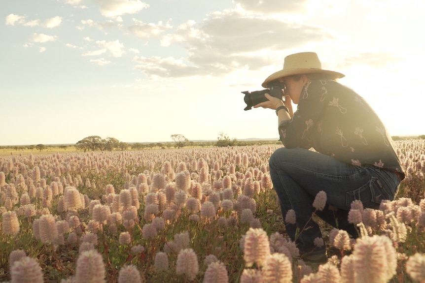 Woman wearing cowgirl hat, jeans, long-sleeve shirt crouching in field of lilac wildflowers with long-lens camera