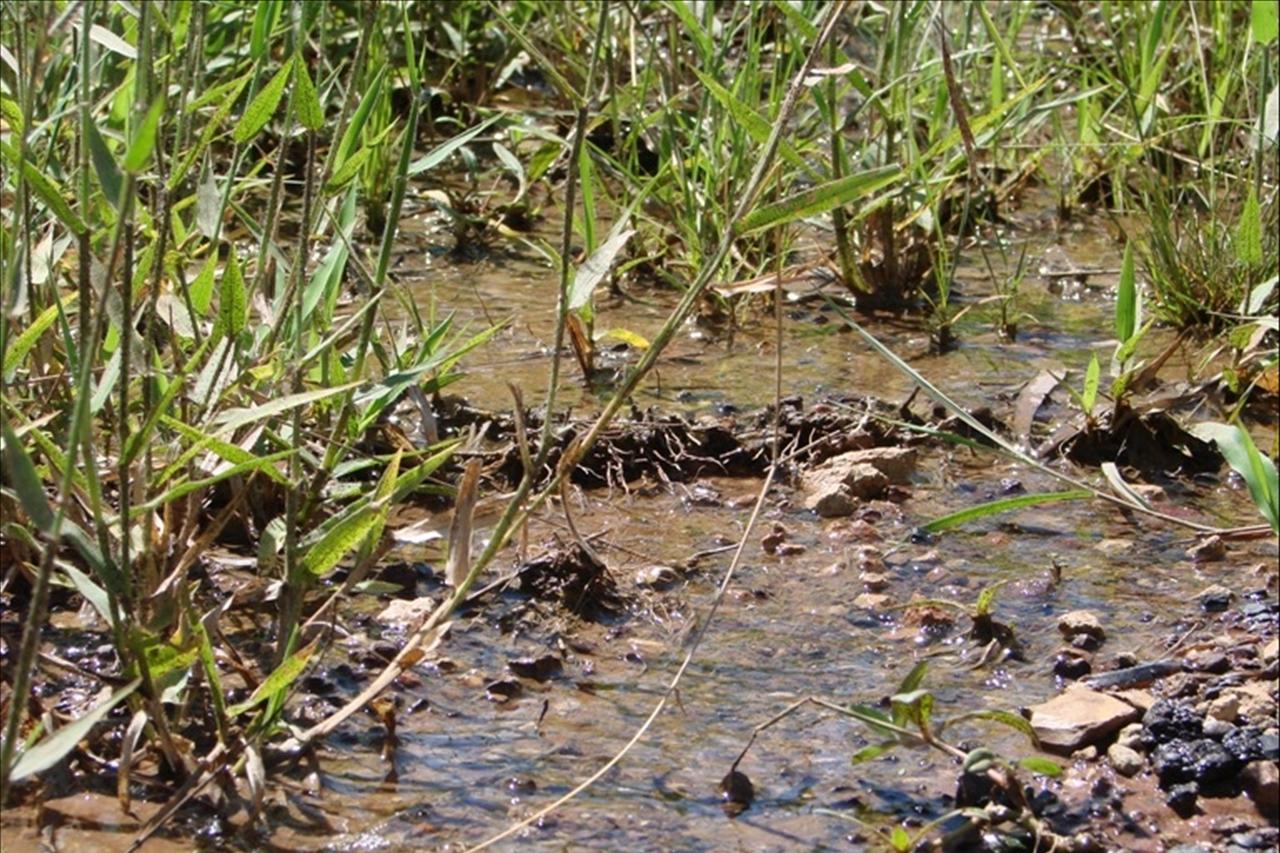 Queensland Country Hour Roadtrip Abc News