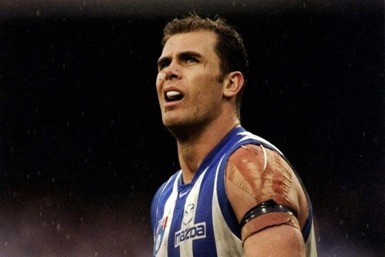 Fallen hero: Carey led North to premierships in 1996 and 1999.