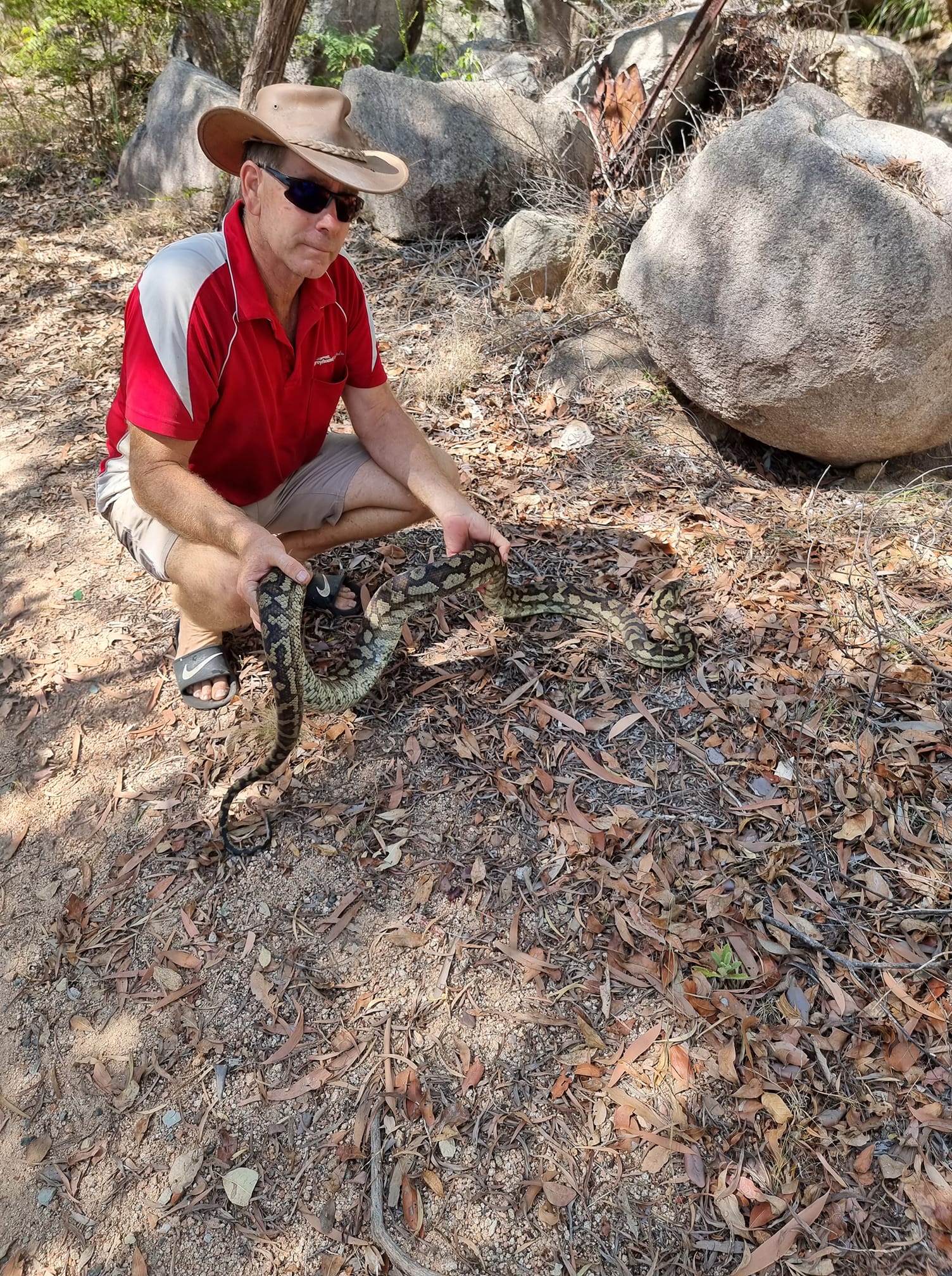 A snake catcher holding a python, the man is wearing sunglasses and a hat 