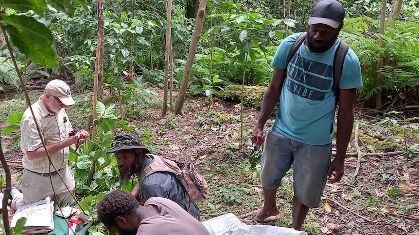 Plants in the field being identified in Vanuatu
