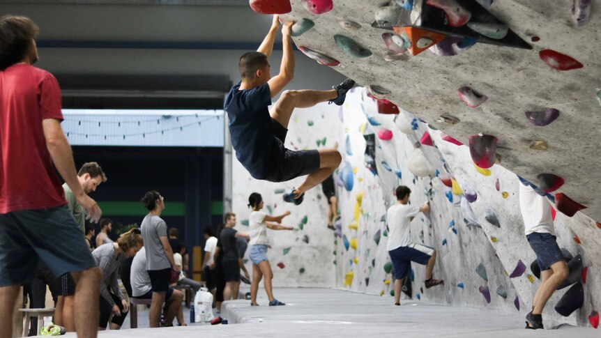 A climber hangs from the walls of the 9 Degrees bouldering gym in Sydney.