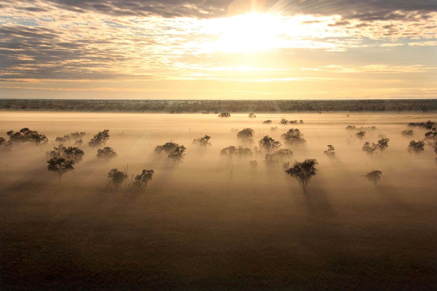 An outback sunrise.