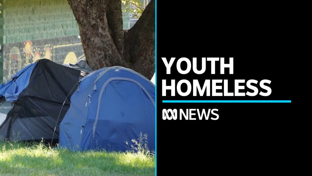 Cat Curfew supported by RSPCA ABC News