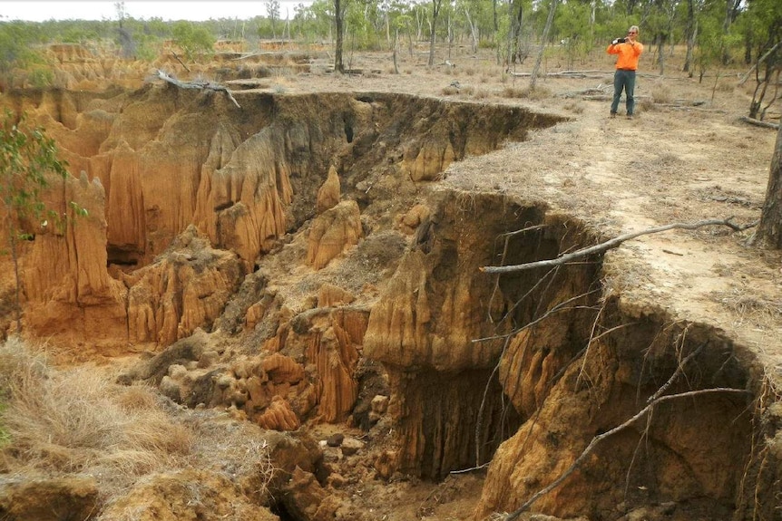 Bowen River erosion