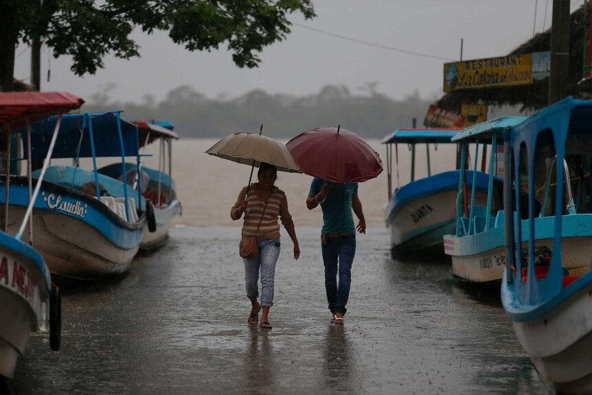 Two people carrying umbrellas walk through a row of boats in the rain.