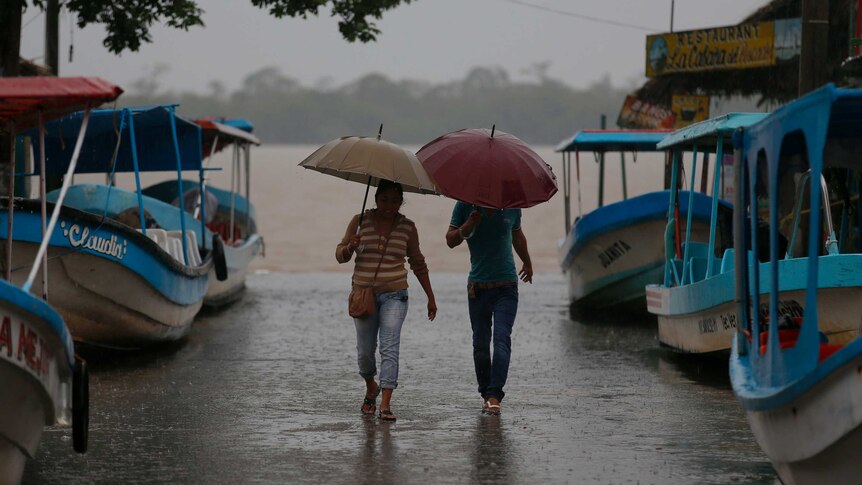 Two people carrying umbrellas walk through a row of boats in the rain.