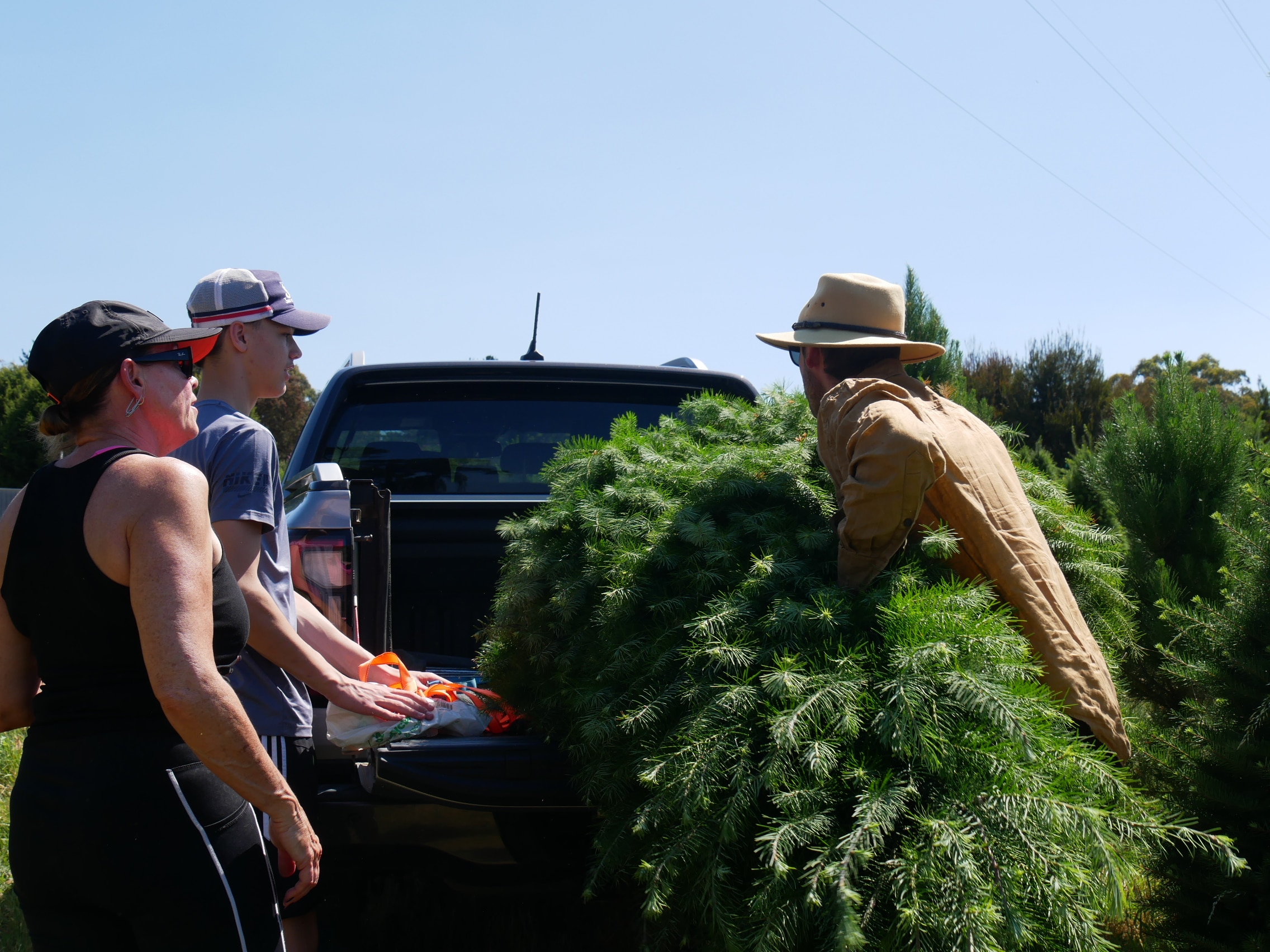 Homem carrega árvore de Natal na traseira de seu carro