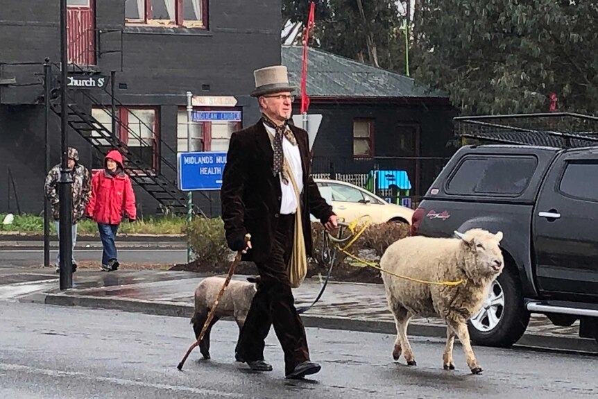 A man in a top hat walks sheep on a leesh.