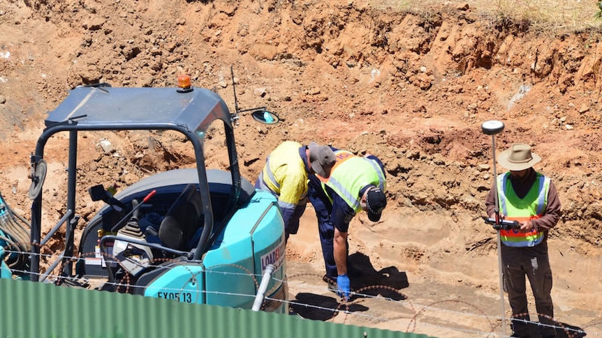 Police have found non-human bones at the Beaumont children search at New Castalloy