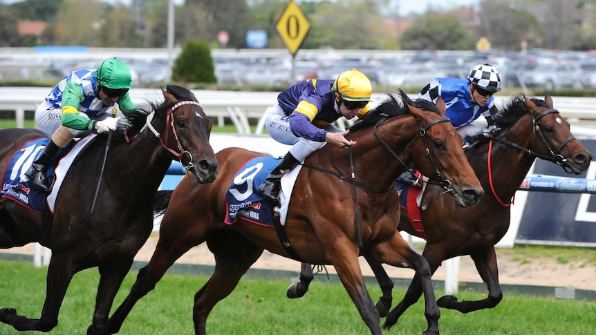 Big Memory (c) beats Protectionist (r) and Signoff (l) in the Herbert Power Stakes at Caulfield.