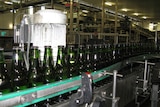 Boag's beer bottles on production line in Launceston
