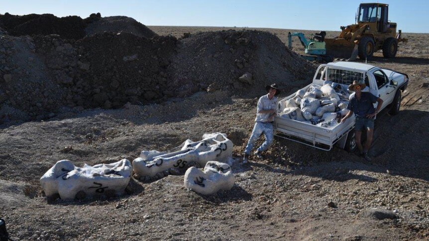 George Sinapius and Bob Elliott with a ute load of dinosaur bones at Winton dig