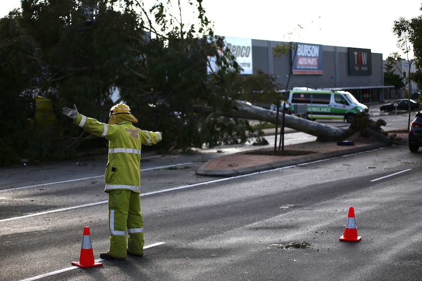 A wide shot showing a firefighter directing traffic on a road with a fallen tree in the background.