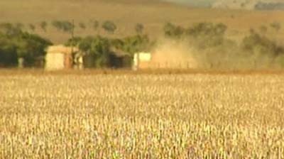 Dry conditions impact harvest