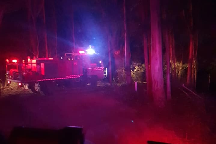 A fire trick at night, blue and red lights flashing purple through the tall trees, image taken from another vehicle.