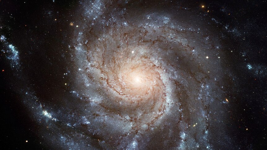 The life and times of galaxies