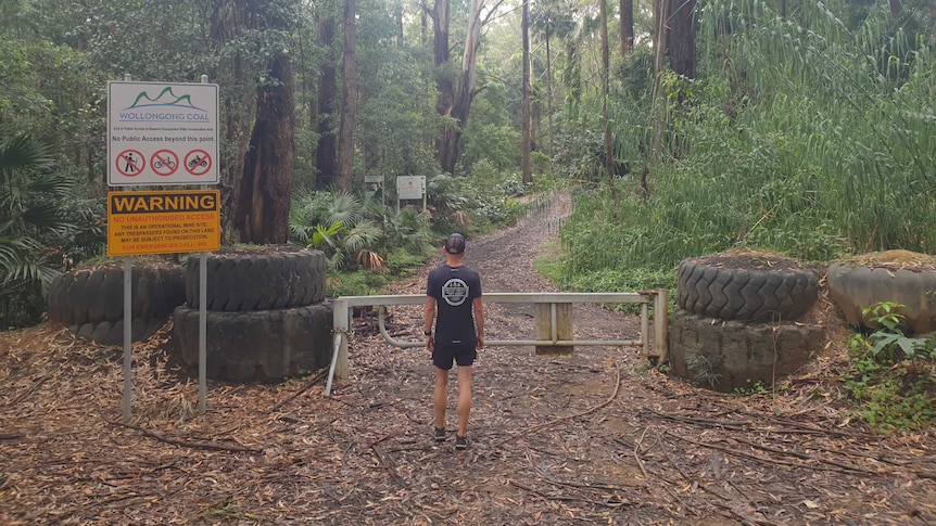 A man stands with his back to the camera looking down a fire trail flanked by dense bushland