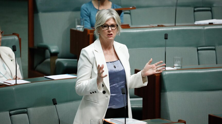 Helen Haines speaking in the house of representatives wearing a whie blazer