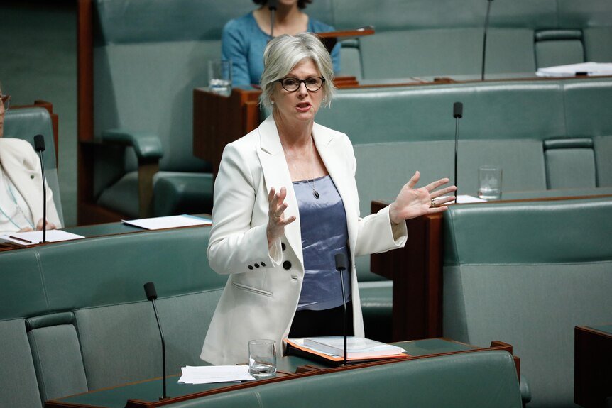 Helen Haines speaking in the house of representatives wearing a whie blazer