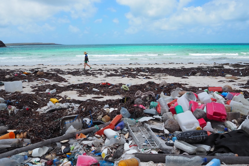 Piles of rubbish washed up on a beach, with the ocean in the background.