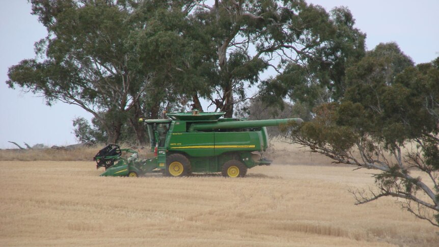 CBH accused of not being prepared for WA harvest