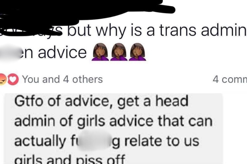 Screenshots of the trans abuse directed at the head admin