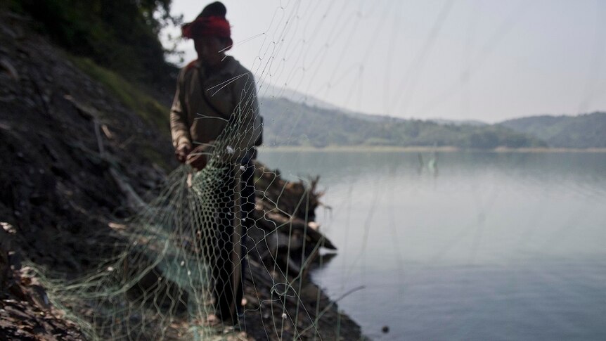 A man unhitches a waist-high net from supporting stakes rigged into the banks of a reservoir.