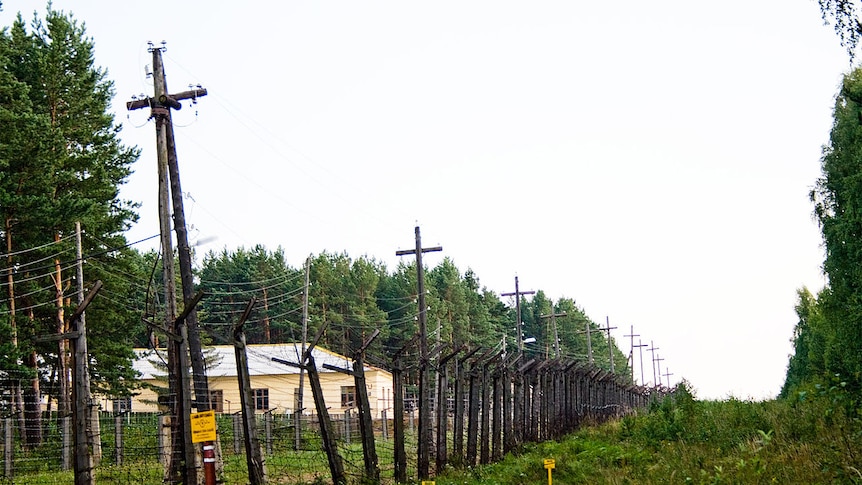 A photo of an overgrown greenfield with a brown barbed wire fence cutting through it.