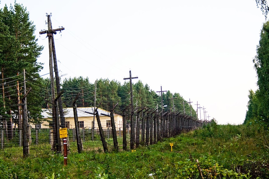 A photo of an overgrown greenfield with a brown barbed wire fence cutting through it.