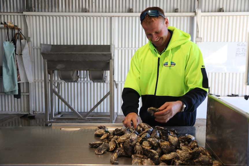 Oyster farming for life