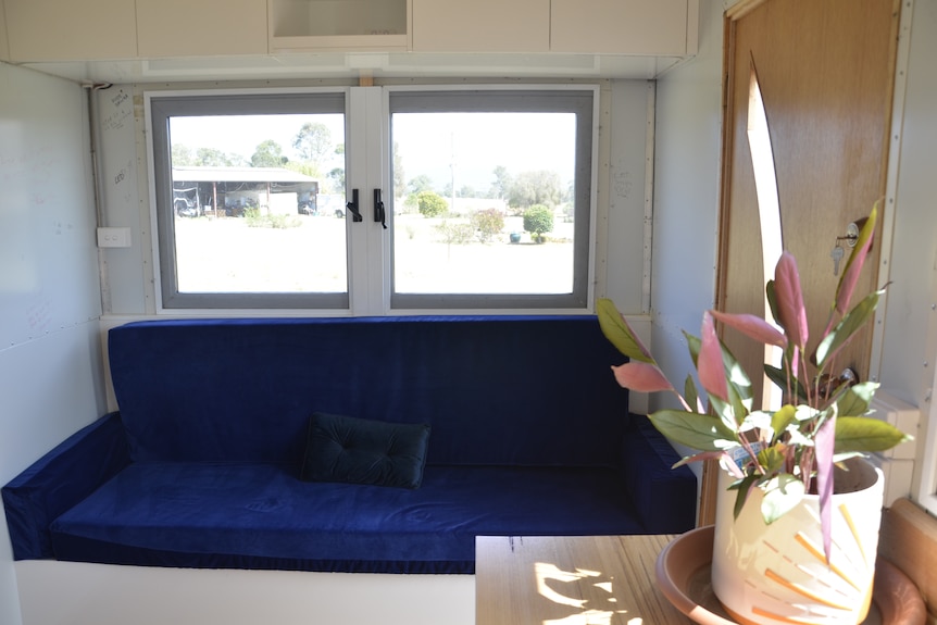 A navy blue velvet couch in a tiny home living room, with a pot plant on a bench.