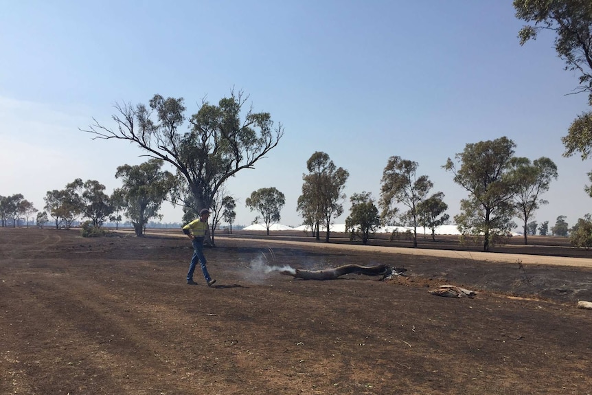 Burnt paddocks at the Boolah Partnership at Boggabri