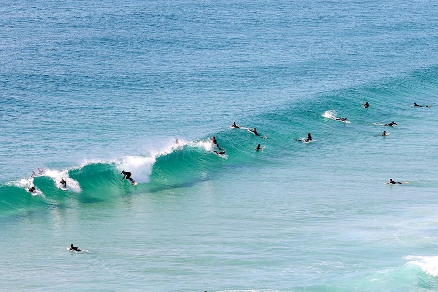 Blue water wave breaking, with dozens of surfers 