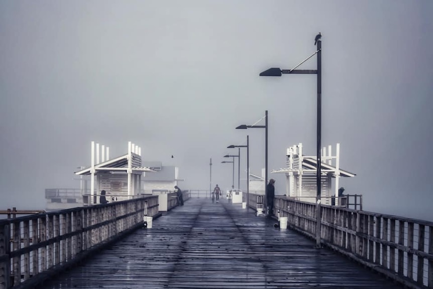 Fog at Woody Point pier in June 2021