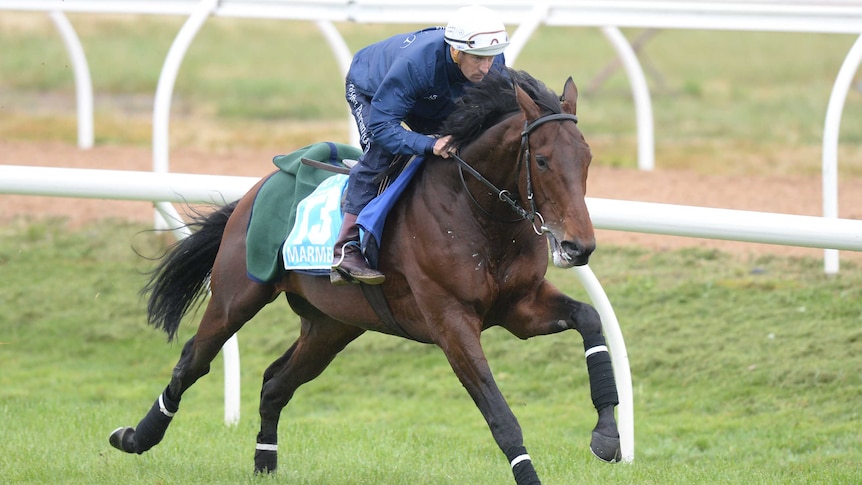 Jockey Hugh Bowman riding Melbourne Cup horse Marmelo at Werribee on November 2, 2017.