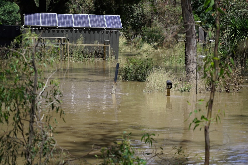 A letter box and trees stick out of brown floodwater while a shed with solar panels is surrounded by waters.