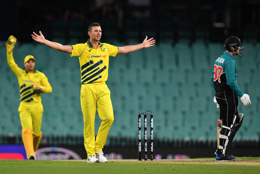 Josh Hazlewood stands with his arms outstretched wearing yellow cricket kit
