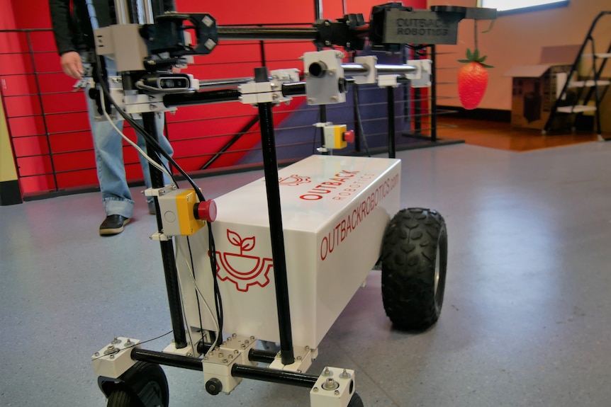 A machine on wheels which picks strawberries autonomously 