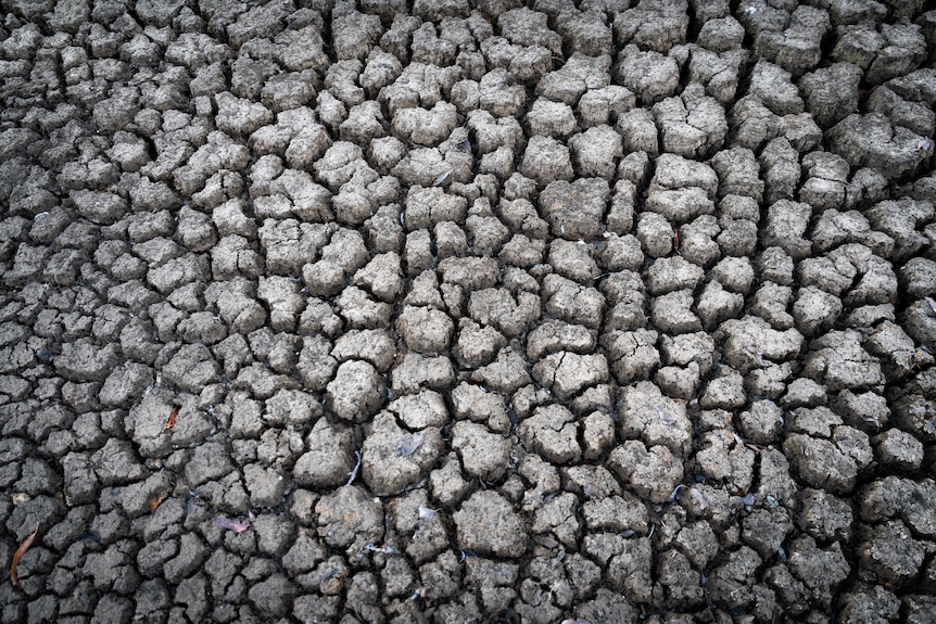 干燥、龟裂的粘土地面的俯视图。