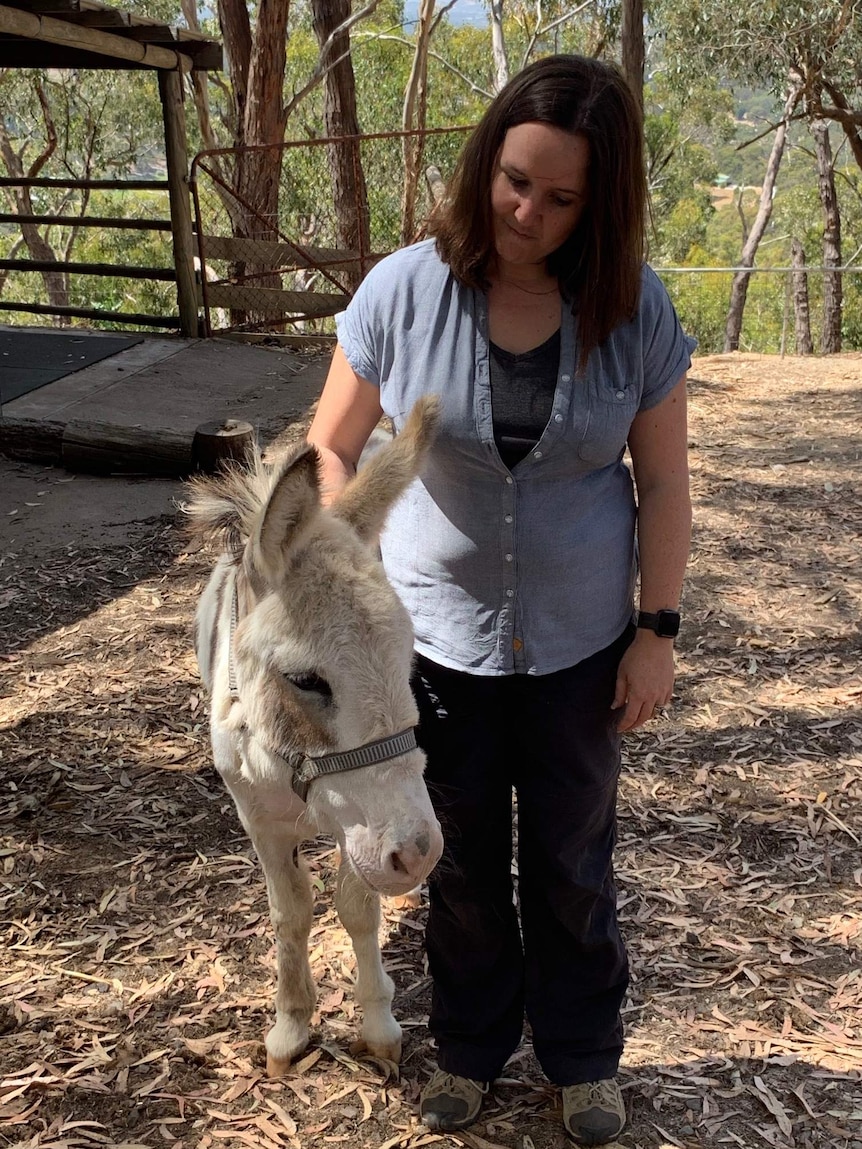 A woman stands and pats her pet donkey on its back